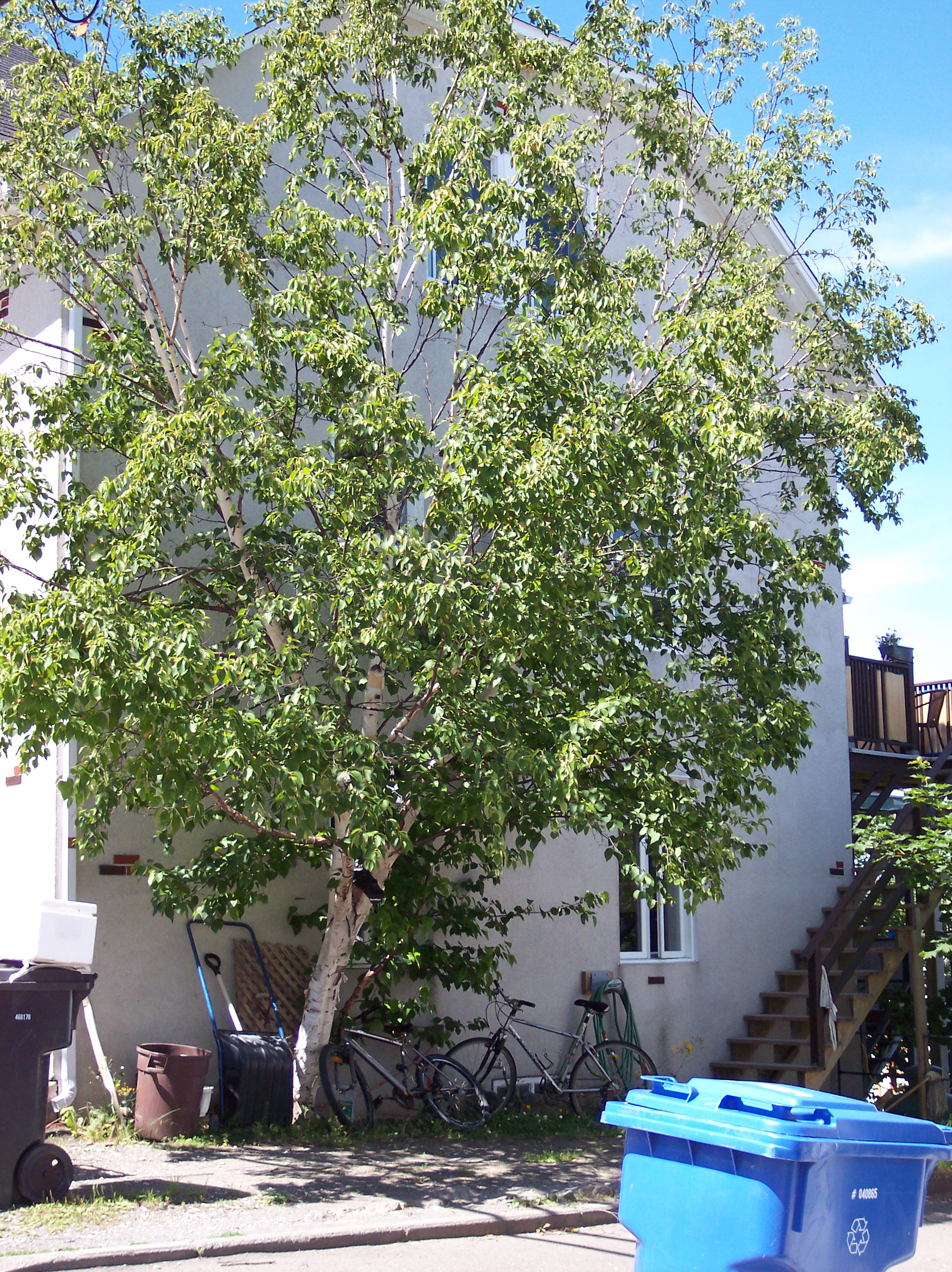 129A-129B, rue du Mont-Saint-Louis © Société rimouskoise du patrimoine